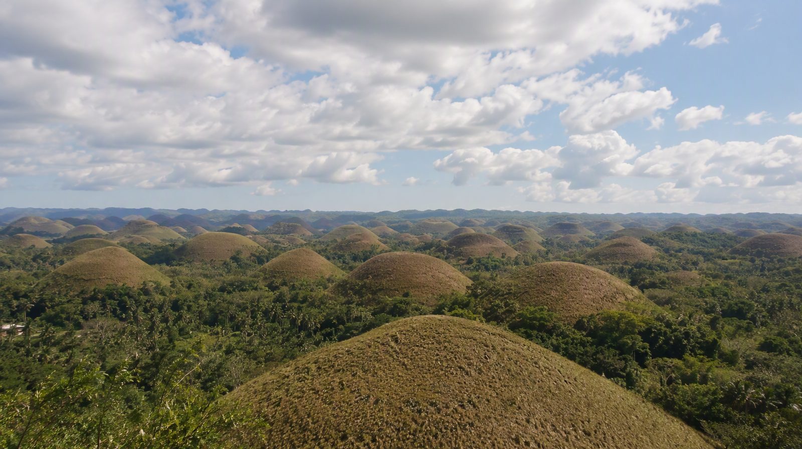 Die Chocolate Hills auf Bohol, Philippinen