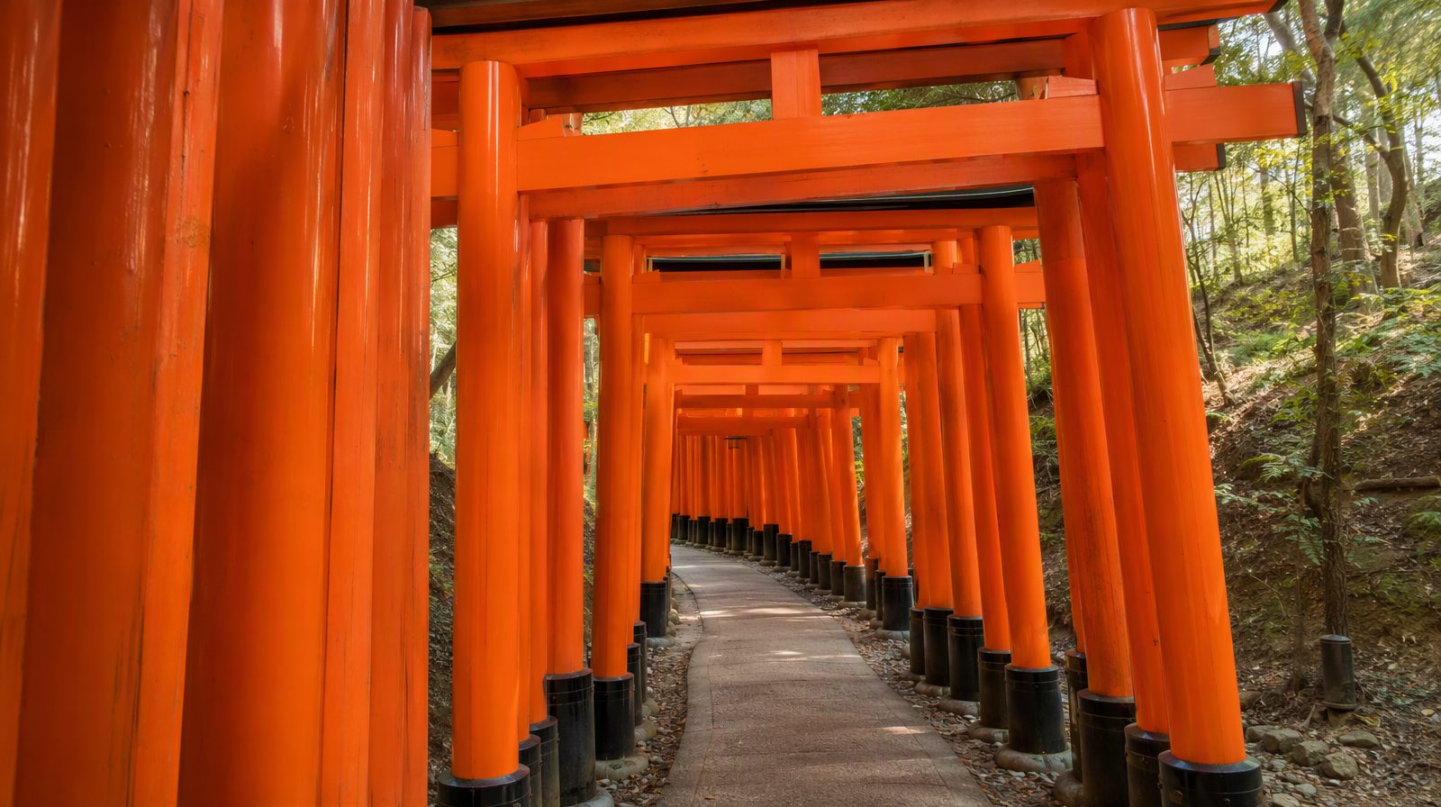 Con đường dẫn đến cổng torii tại đền Fushimi Inari, Kyoto, Nhật Bản