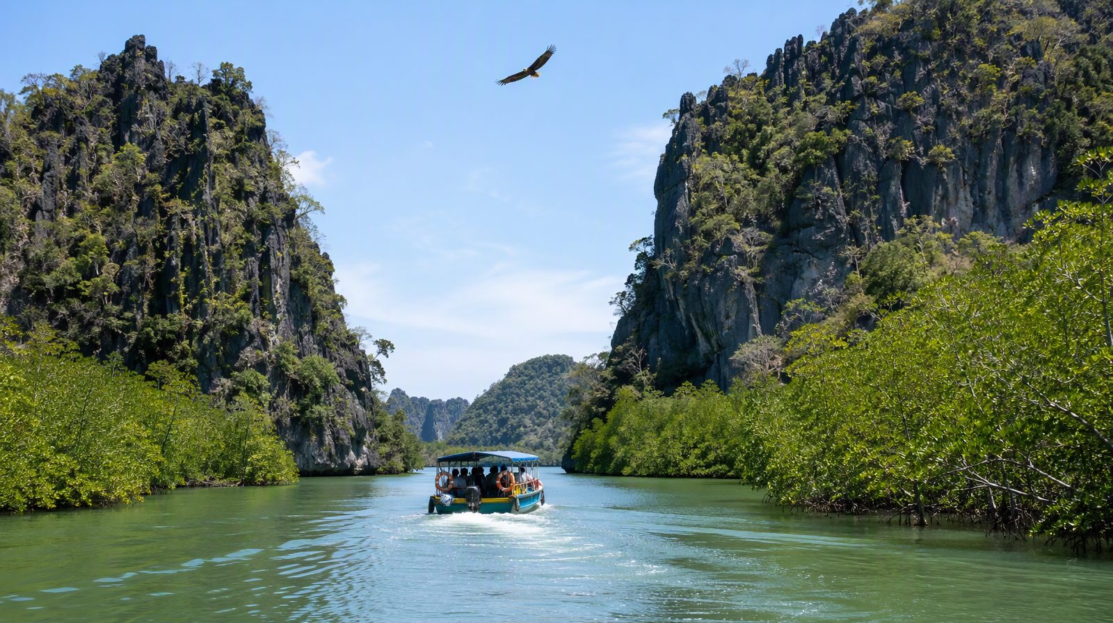 Ein Mangrovenfluss im Kilim Geoforest Park, Langkawi, Malaysia